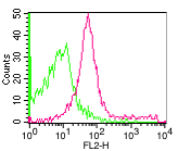 Monoclonal Antibody to Kappa (Clone: ABM3A47)